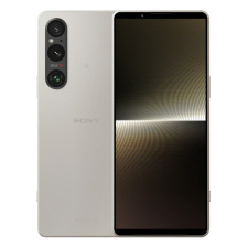 Sony Xperia 1 V 12/512Gb Global Серебристый