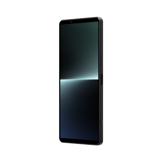 Sony Xperia 1 V 12/512Gb Global Черный